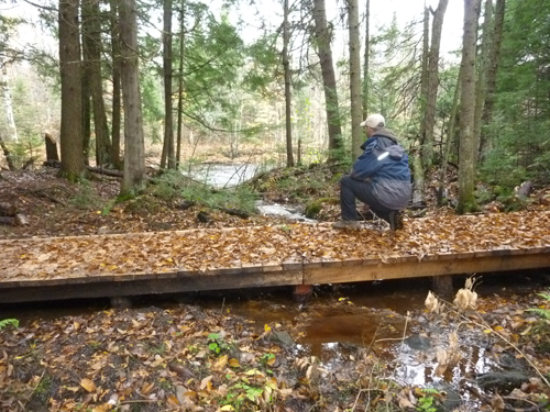 http://www.parcdesgrandescoulees.com Une idées des sentiers du secteur de La forêt ancienne