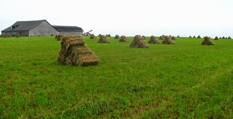 Plan de développement de la zone agricole