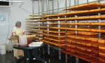 Fromagerie Éco-Délices