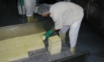 Fromagerie Éco-Délices