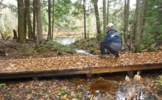 Une idées des sentiers du secteur de La forêt ancienne