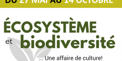 Exposition 2018 Musée du bronze Exposition 2018 Musée du bronze