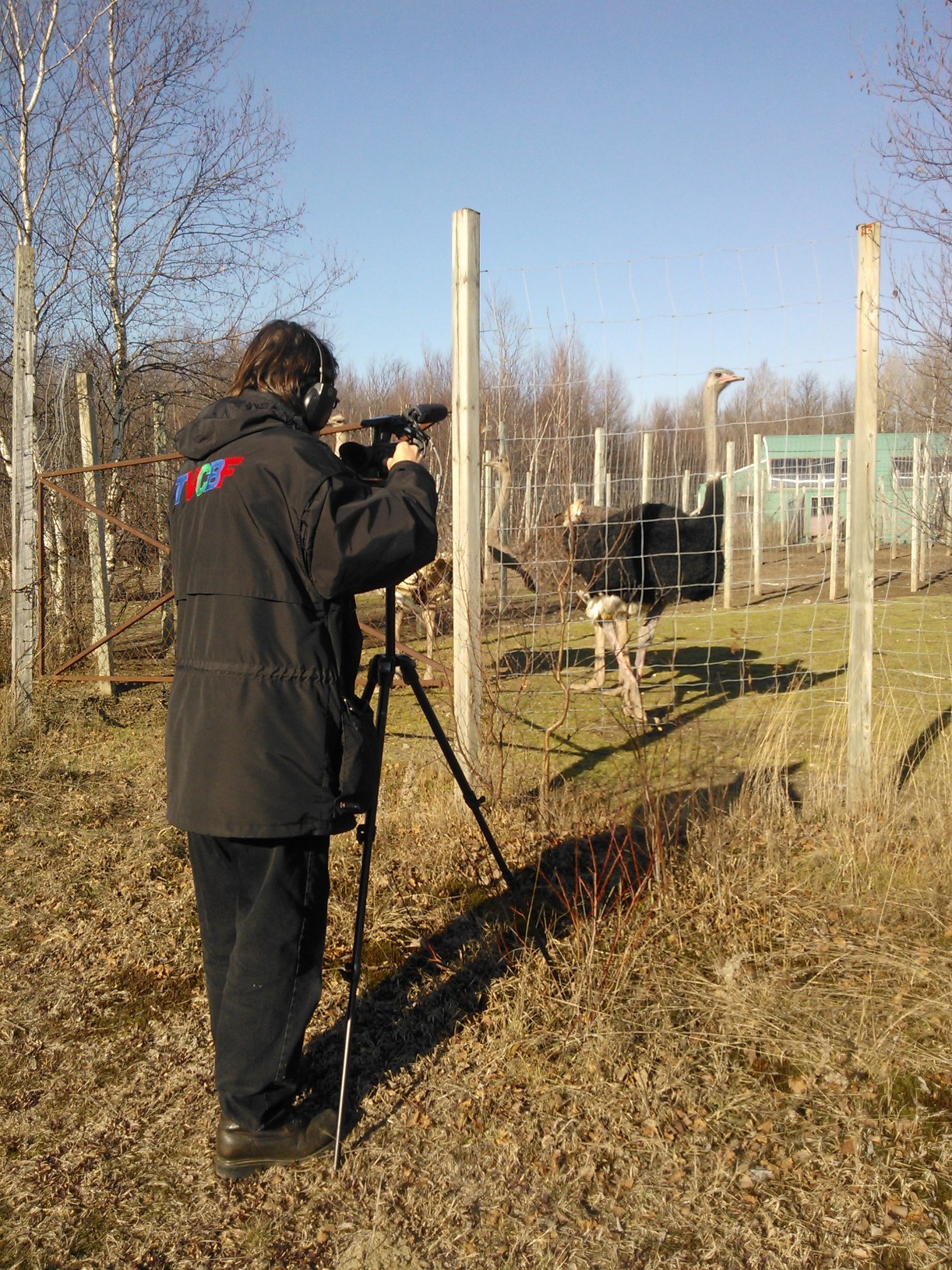 Photo tournage à Lyster