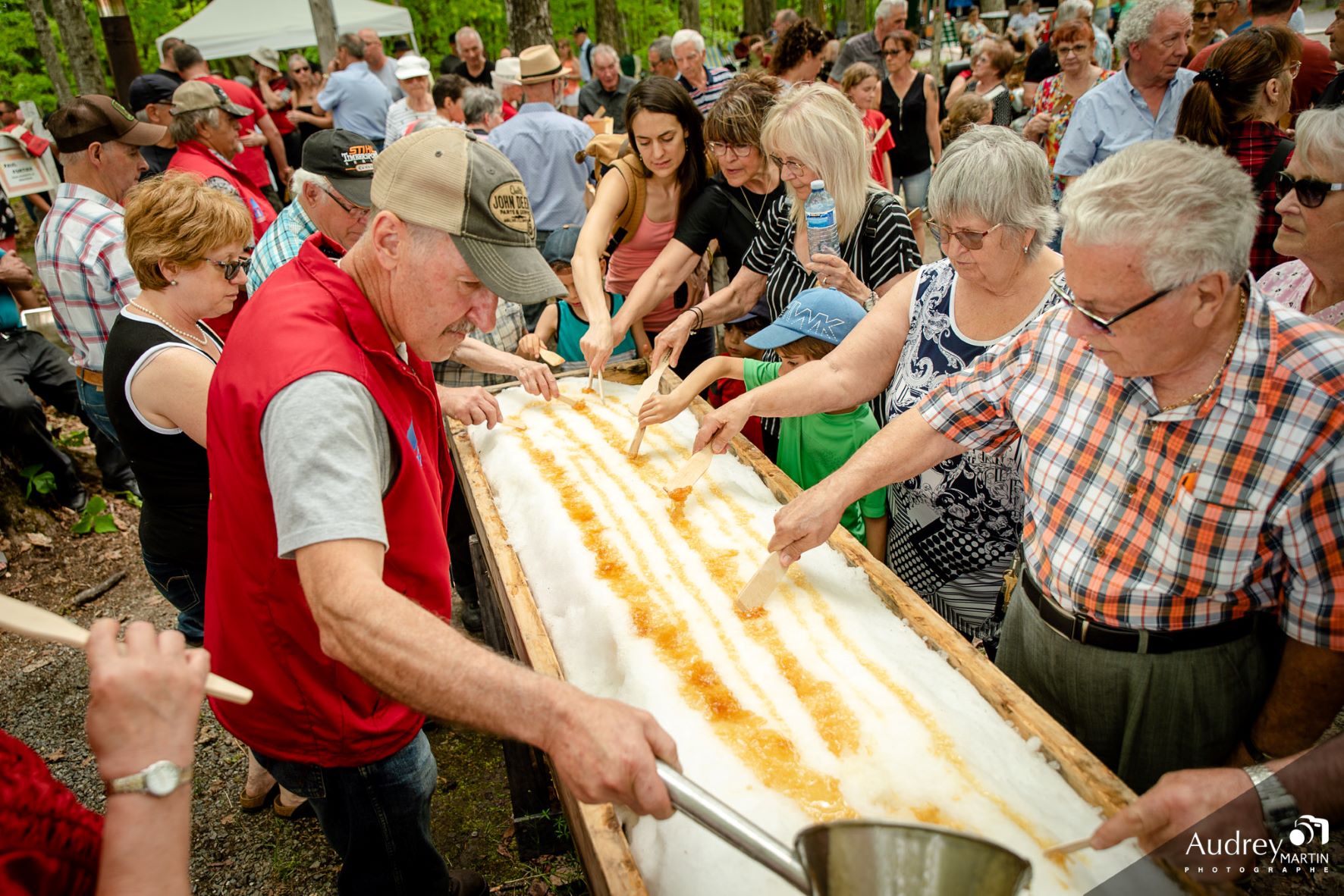 Festival des sucres