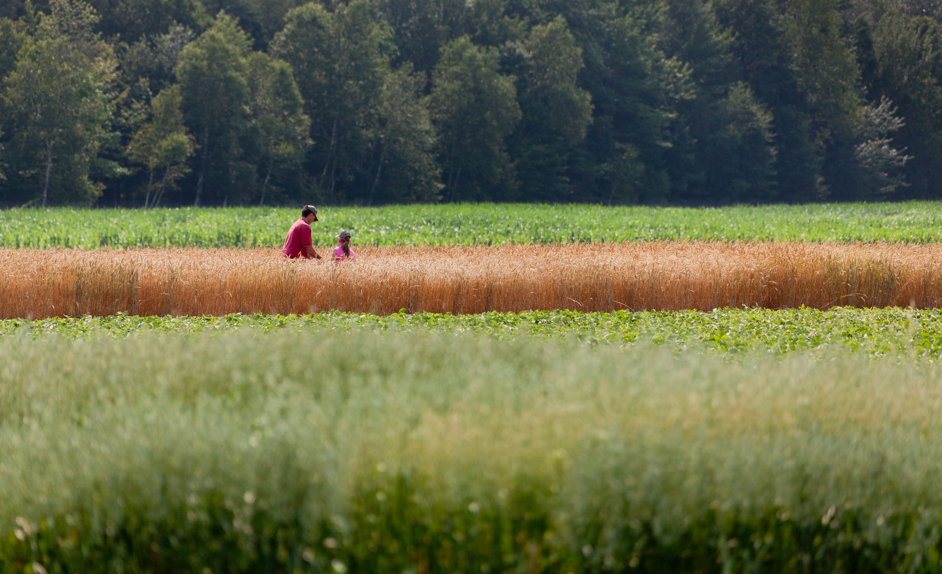 Nouvelles aides financières expliquées aux agriculteurs