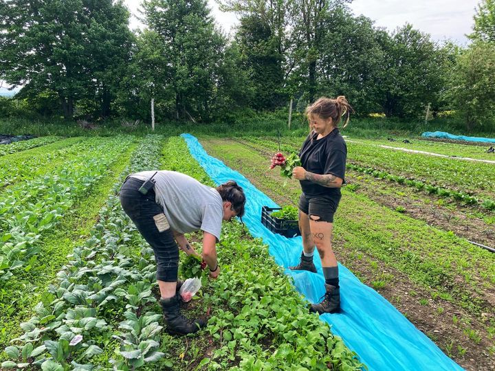 Trois entreprises de L'Érable impliquées dans le projet Agri-intégration