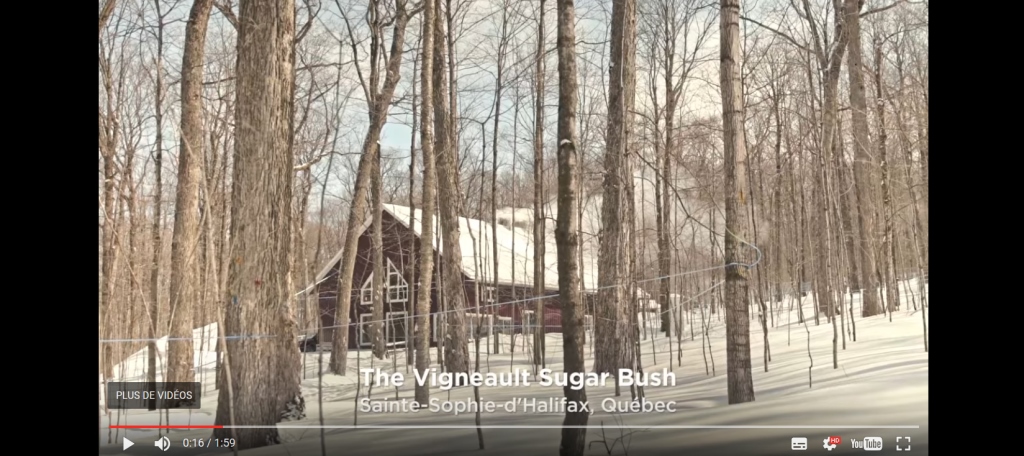 Photo tirée d'une vidéo des biscuits Dare à la cabane sucre Vigneault, Sainte-Sophie-d'Halifax, MRC de L'Érable