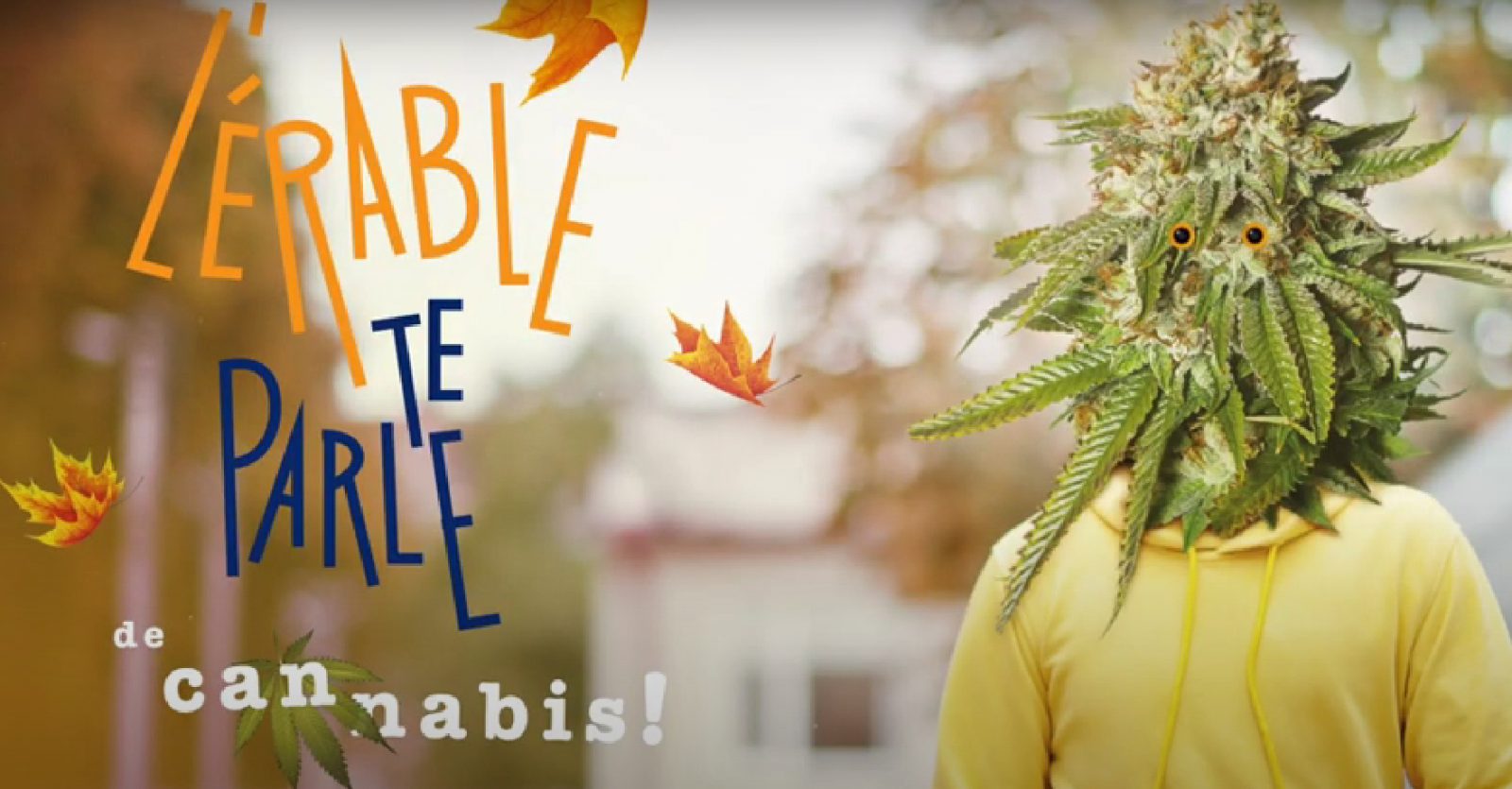 L'Érable te parle de cannabis