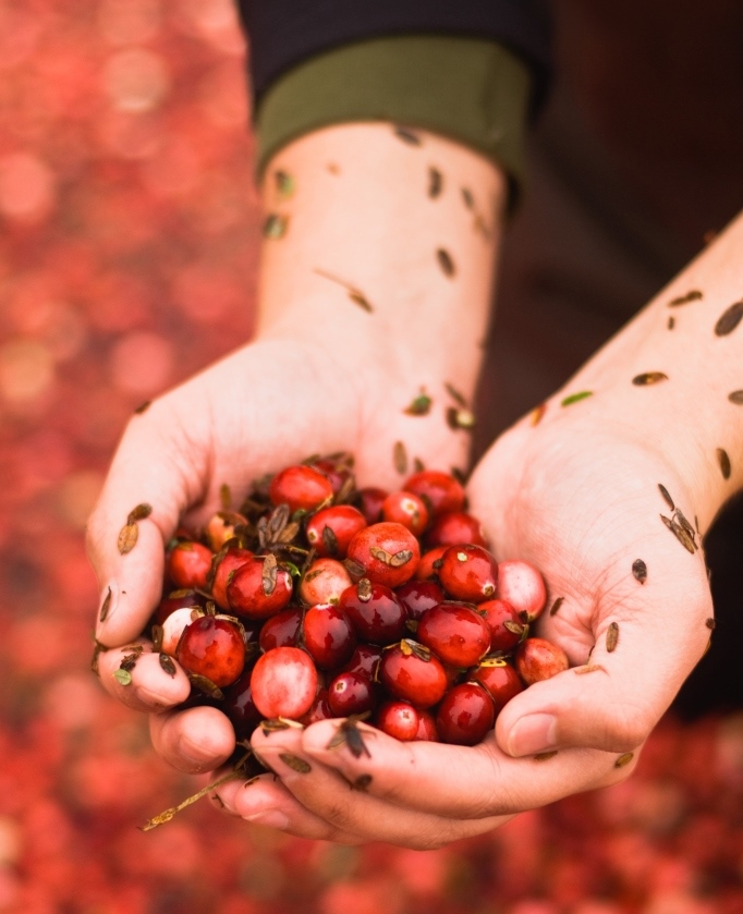 Fruit d'Or a un nouvel actionnaire