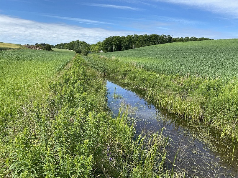 Cours d'eau Pellerin, Sainte-Sophie-d'Halifax