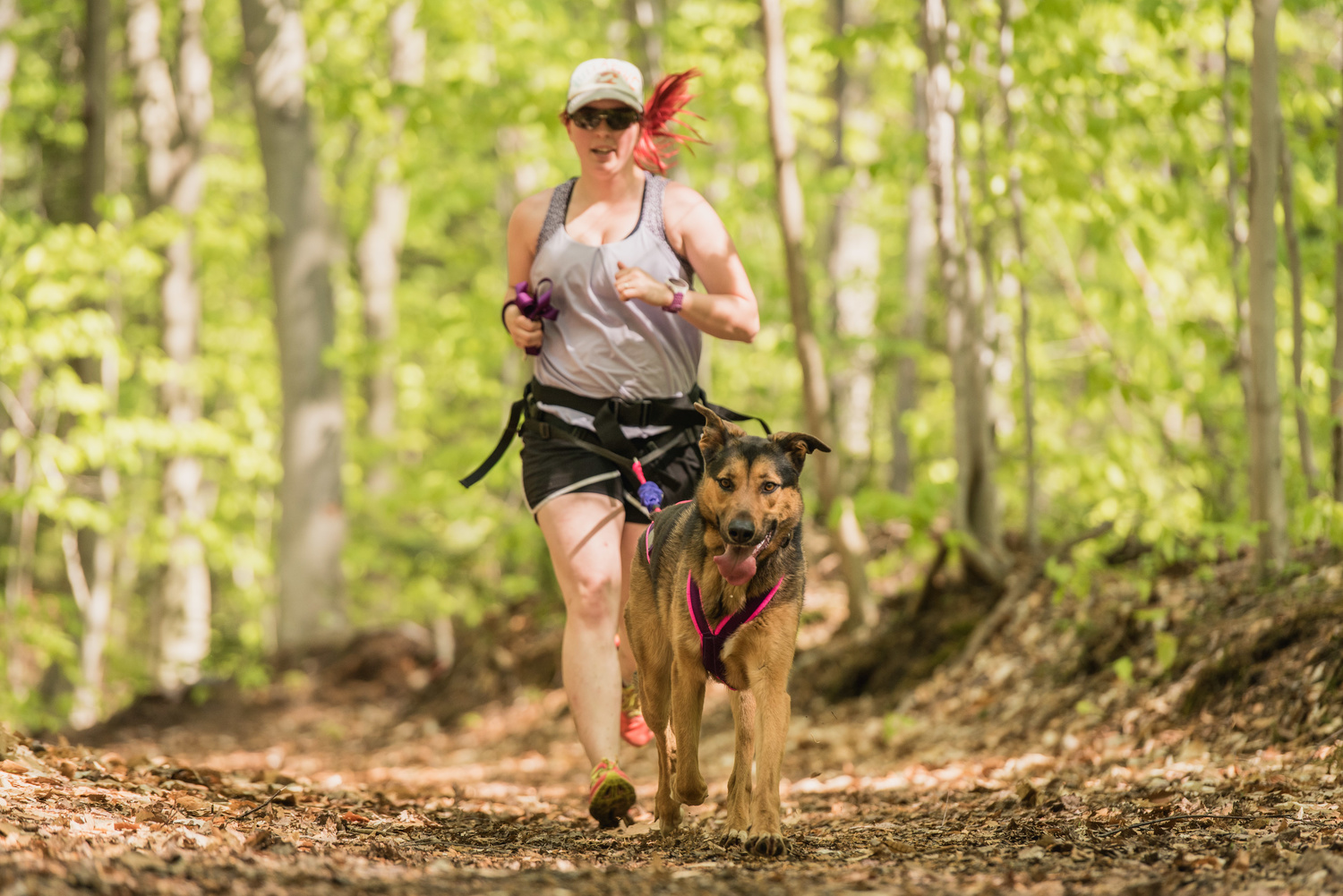 Ça tire en chien le 4 juin 2017 dans L'Érable