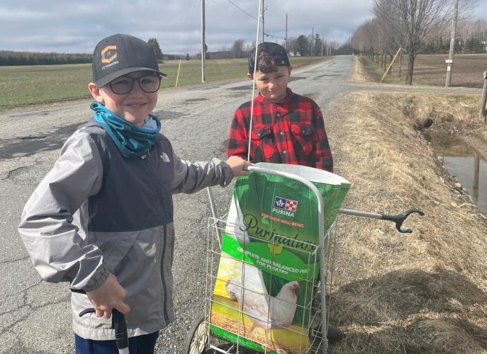 Famille Manningham - Enrionnement