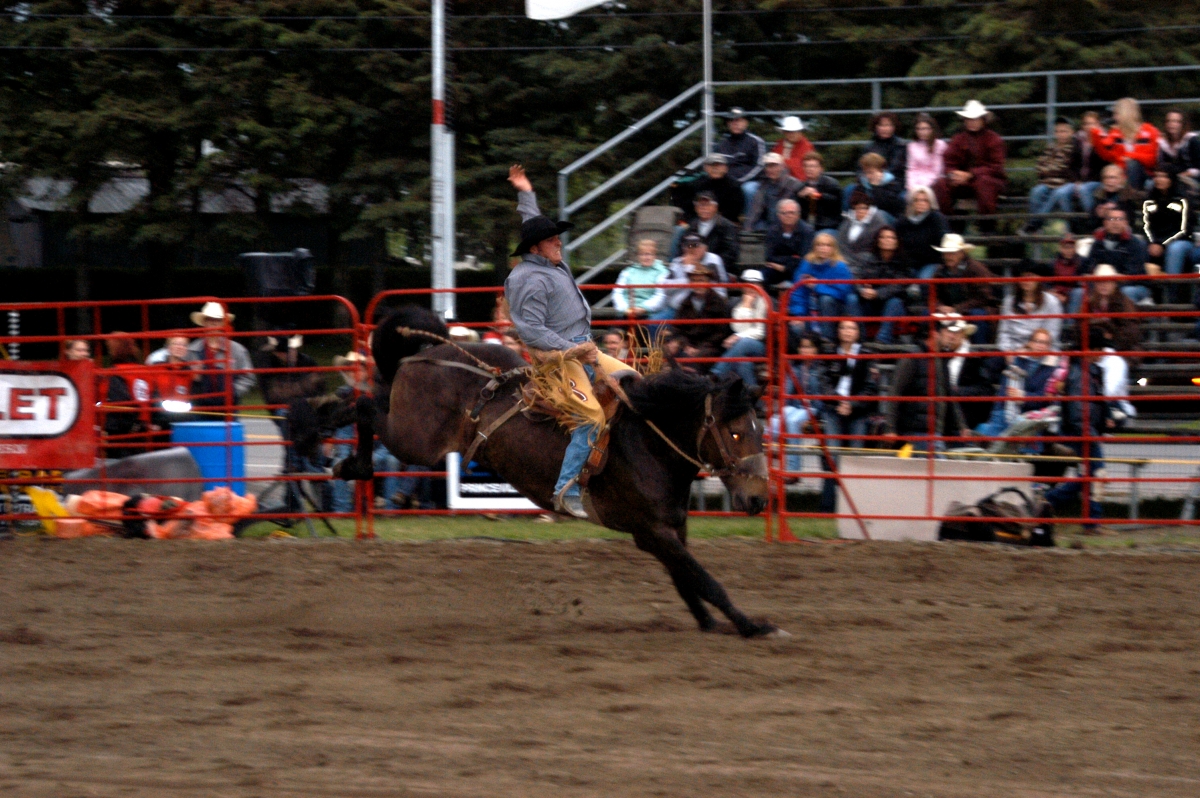 Festival du cheval