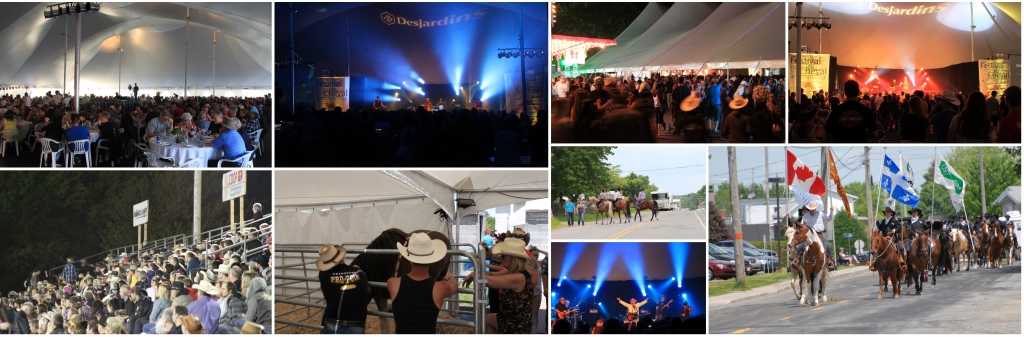 Festival du cheval