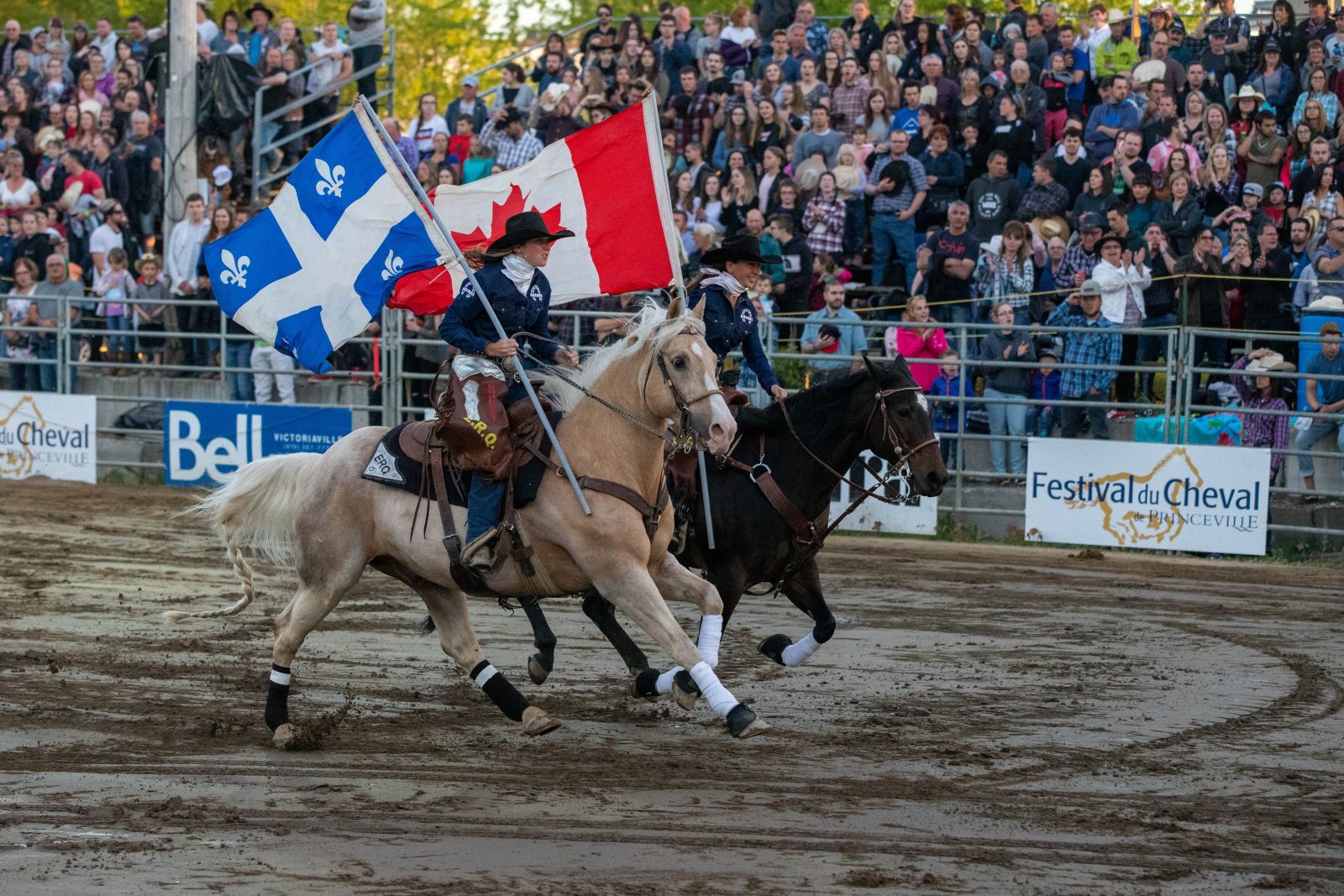 Festival du cheval