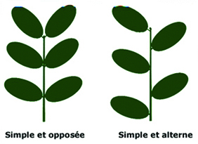 Glossaire de l'AFSQ