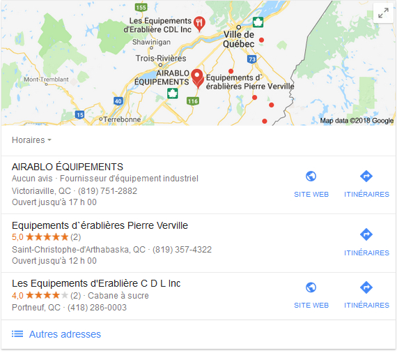 Google my business - exemple