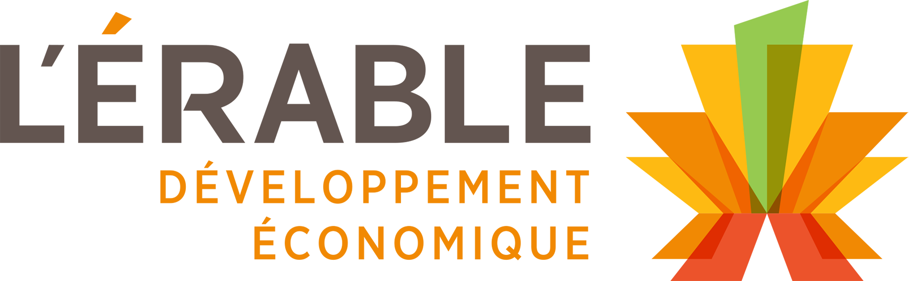 logo Développement économique de L'Érable