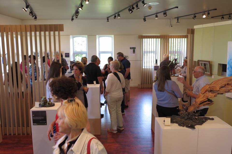 Vernissage de l'exposition écosystème et biodiversité au Musée du bronze