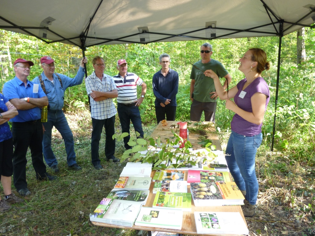 19e Journée forestière de L'Érable