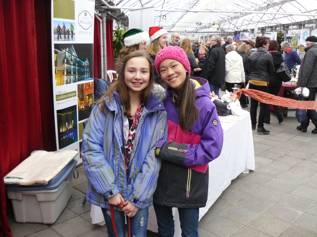 Marché public de Noël 2015