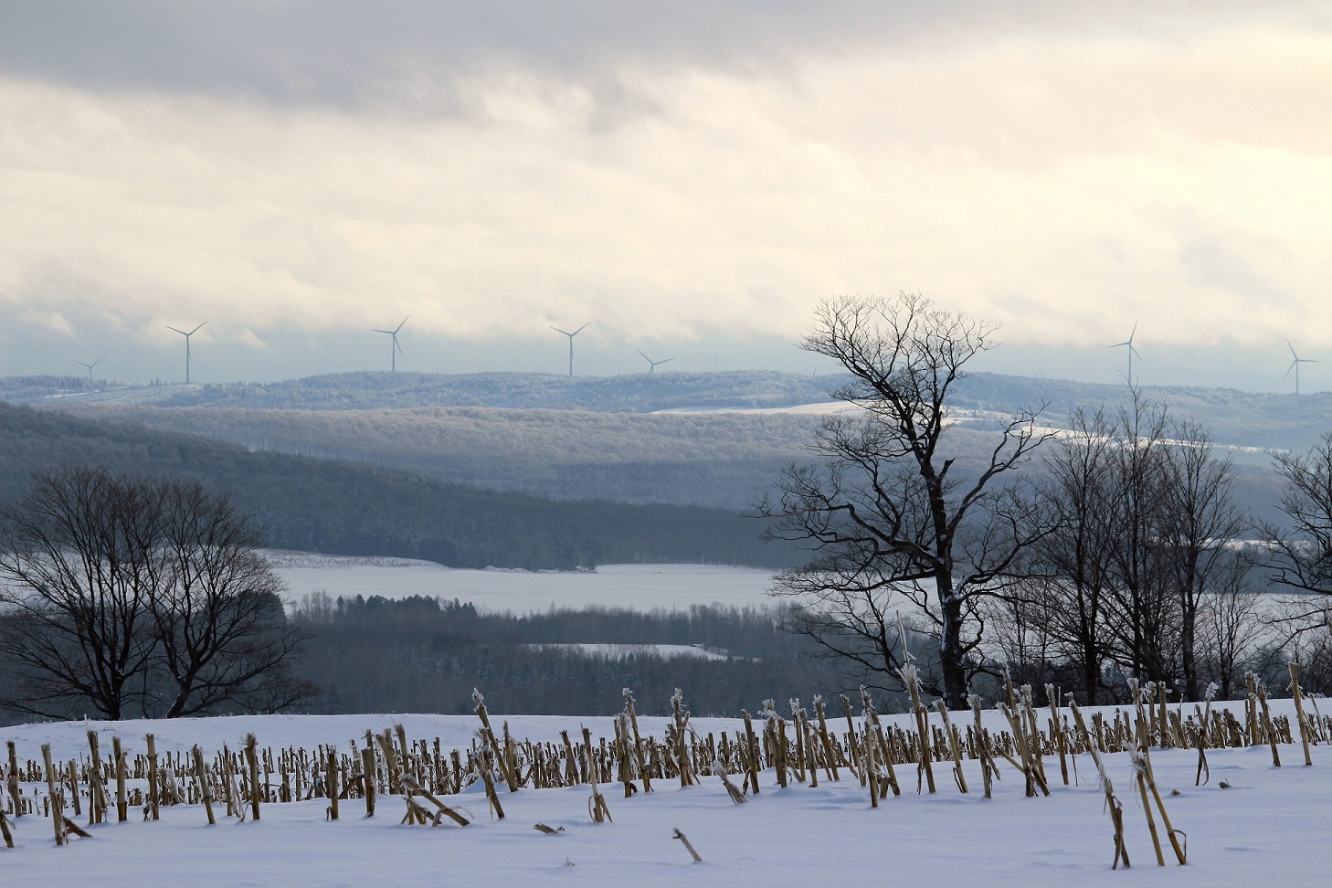 Parc éolien de L'Érable