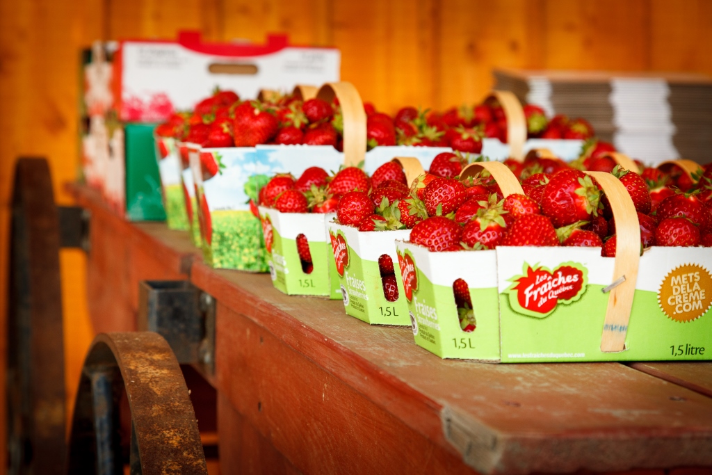 Fraisière Talfor participait à la Balade Gourmande