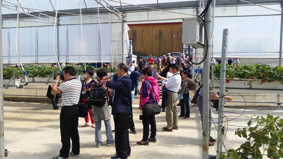 Symposium de la fraise chez Fraisière Talfor