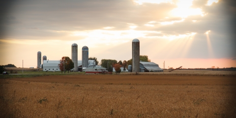Ferme sur le territoire de la MRC de L'Érable L'Érable veut séduire des professionnels de l'agroalimentaire