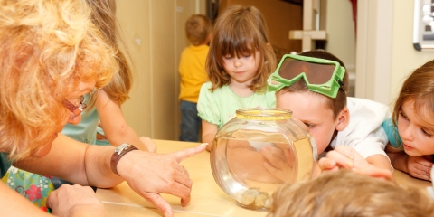 Enfants et un aquarium à la garderie
