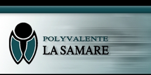 Cassandra Lehoux et William Fréchette couronnés de la plus haute distinction sportive de la polyvalente La Samare Logo Polyvalente La Samare Plessisville MRC de L'Érable