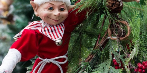Une chasse aux lutins est organisée dans le cadre de la Journée mondiale de l'enfance à Princeville Une chasse aux lutins est organisée dans le cadre de la Journée mondiale de l'enfance à Princeville