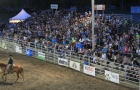 Festival du cheval de Princeville, MRC de L'Érable